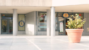 clinicas vital - Porto